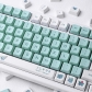 Pokemon Bulbasaur 104+31 XDA Profile Keycap Set Cherry MX PBT Dye-subbed for Mechanical Gaming Keyboard